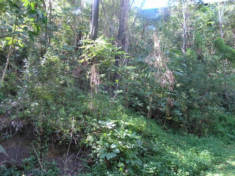 23 Panorama Drive, Currumbin QLD 4223