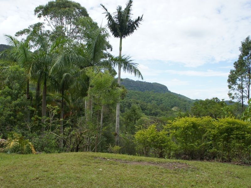 1383 Currumbin Creek Road, Currumbin Valley QLD 4223