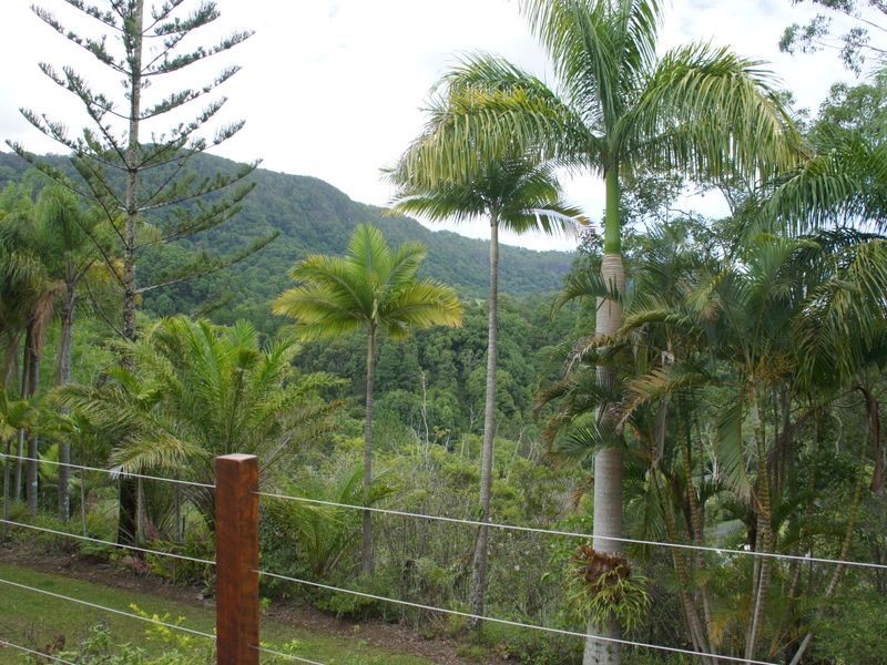 1383 Currumbin Creek Road, Currumbin Valley QLD 4223