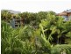 71/955 Gold Coast Highway, Palm Beach QLD 4221