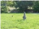 1 Natures Close, Currumbin Valley QLD 4223