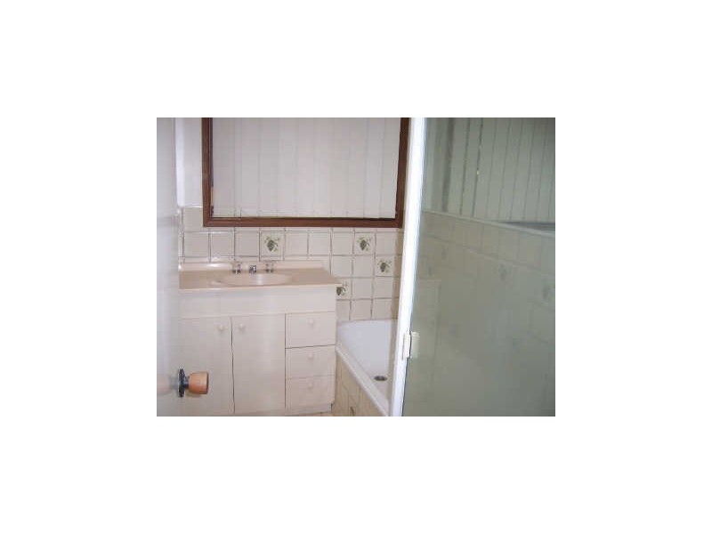 55 Spoonbill Street, Peregian Beach QLD 4573