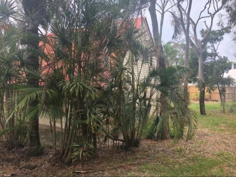 374 David Low Way, Peregian Beach QLD 4573