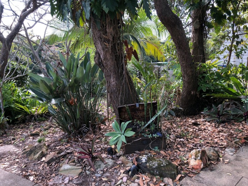 188 David Low Way, Peregian Beach QLD 4573