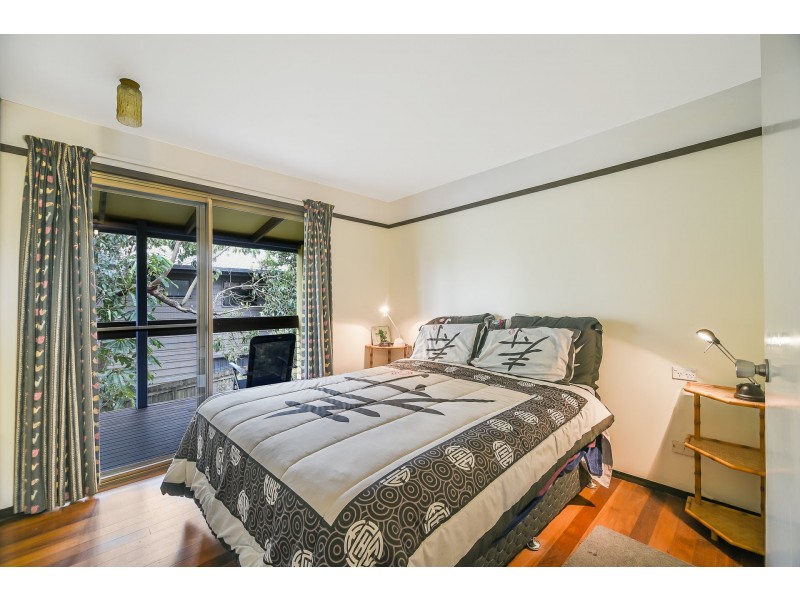 29 Jacana Street, Peregian Beach QLD 4573