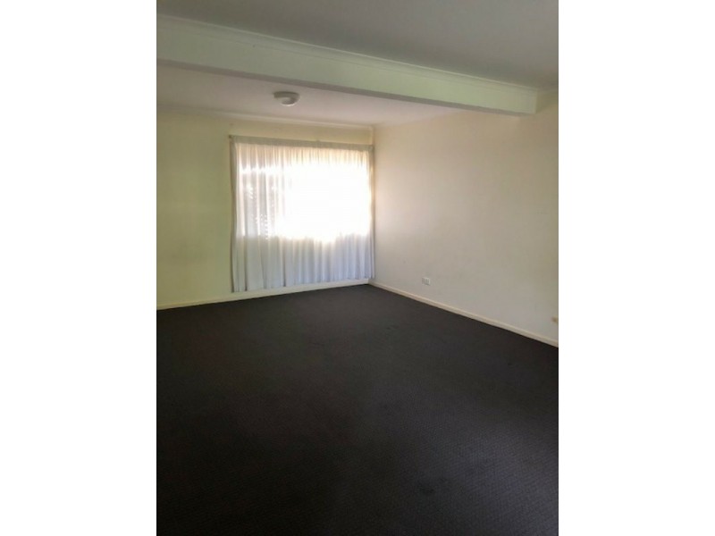 20 Plover Street, Peregian Beach QLD 4573
