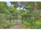 31 Spoonbill Street, Peregian Beach QLD 4573