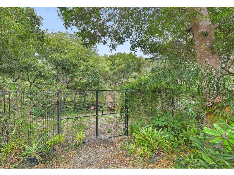 31 Spoonbill Street, Peregian Beach QLD 4573