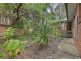 31 Spoonbill Street, Peregian Beach QLD 4573
