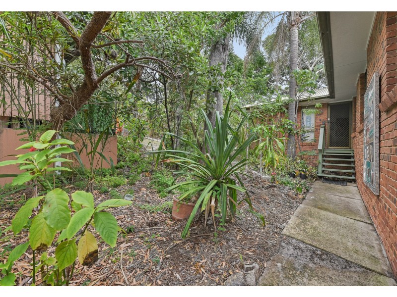 31 Spoonbill Street, Peregian Beach QLD 4573