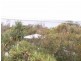 1/1 Shearwater Street, Peregian Beach QLD 4573
