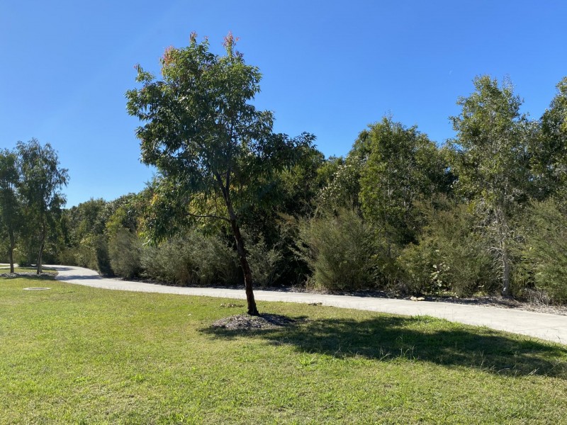 169 Old Emu Mountain, Peregian Beach QLD 4573