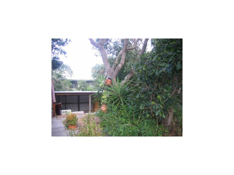 4 Petrel St, Peregian Beach QLD 4573