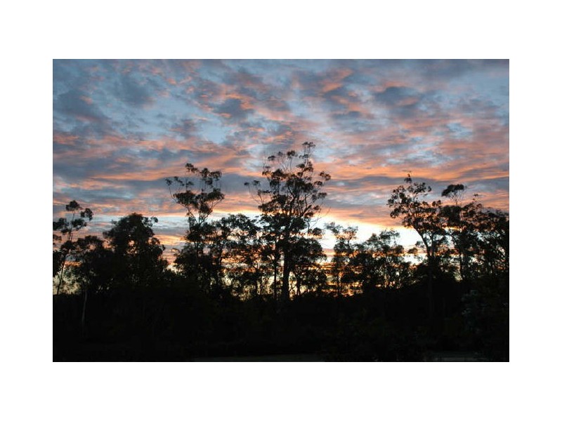 19 Riviera Cres, Peregian Springs QLD 4573