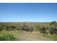45 Podargus Parade, Peregian Beach QLD 4573
