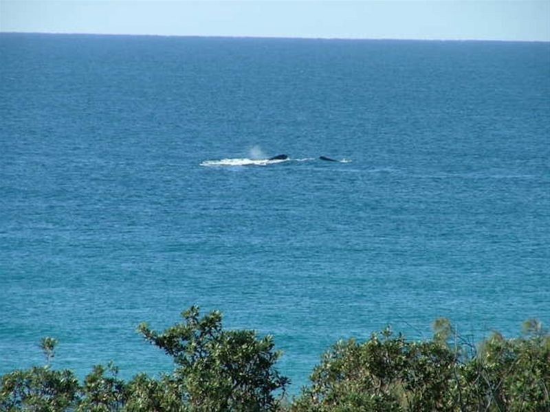 10/528 David Low Way, Castaways Beach QLD 4567