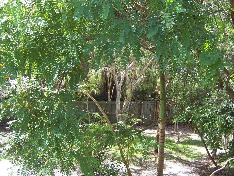 33 Rainbow Crescent, Sunrise Beach QLD 4567