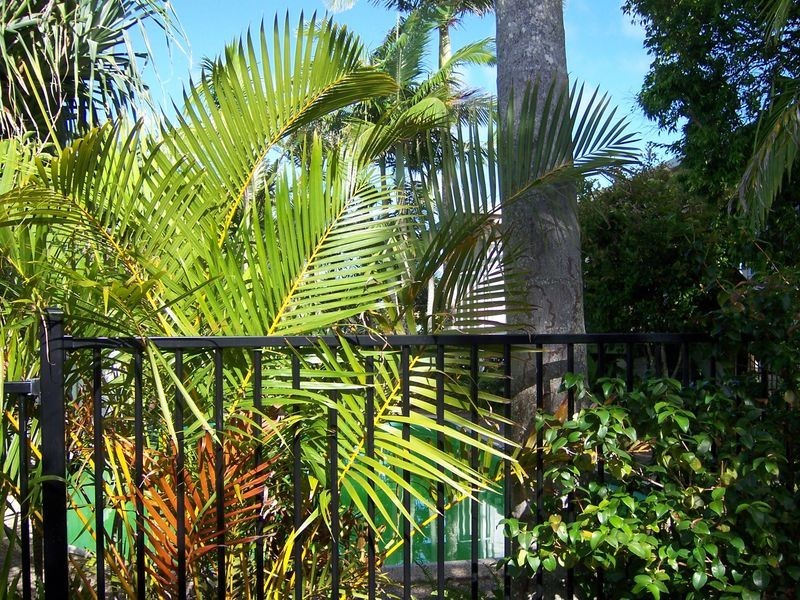 36 Cormorant Crescent, Peregian Beach QLD 4573