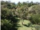 12 Shearwater Street, Peregian Beach QLD 4573