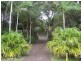 21 Mimosa Street, Peregian Beach QLD 4573