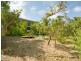43 Lowry Street, Peregian Beach QLD 4573