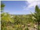 43 Lowry Street, Peregian Beach QLD 4573