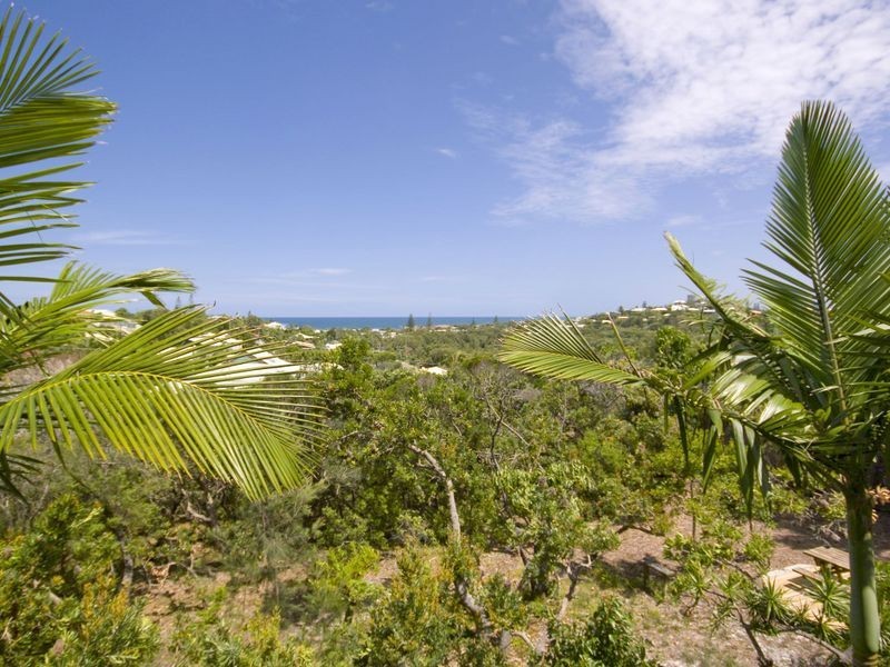 43 Lowry Street, Peregian Beach QLD 4573