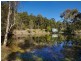 218 Verrierdale Road, Verrierdale QLD 4562