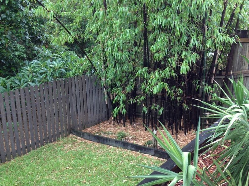 33 Neurum Road, Yaroomba QLD 4573