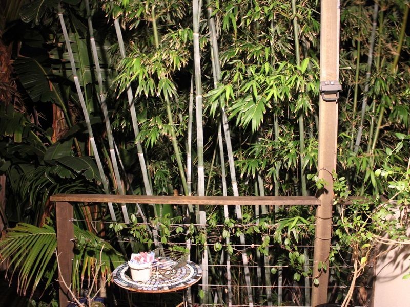 1/28 Gannet Street, Peregian Beach QLD 4573