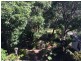 335 David Low Way, Peregian Beach QLD 4573