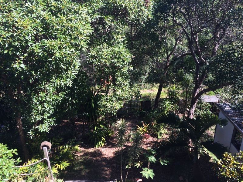 335 David Low Way, Peregian Beach QLD 4573