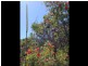 15 Currawong Crescent, Peregian Beach QLD 4573