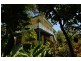 6 Tern Street, Peregian Beach QLD 4573