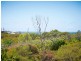 20 Spoonbill Street, Peregian Beach QLD 4573