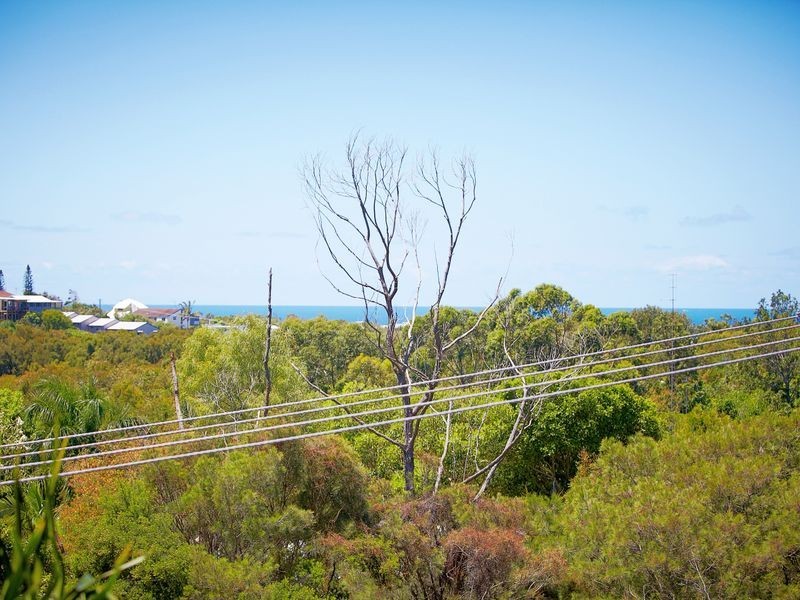 20 Spoonbill Street, Peregian Beach QLD 4573