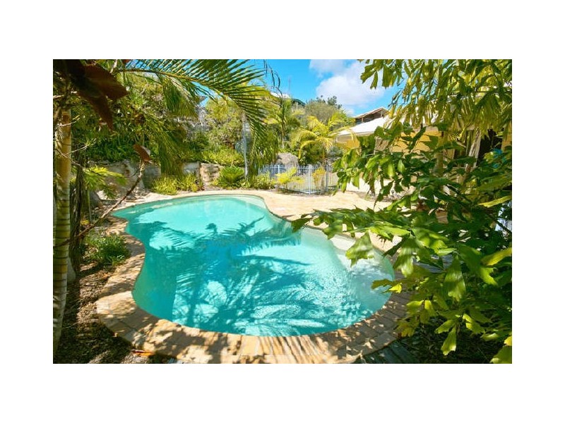 42 Spoonbill Street, Peregian Beach QLD 4573