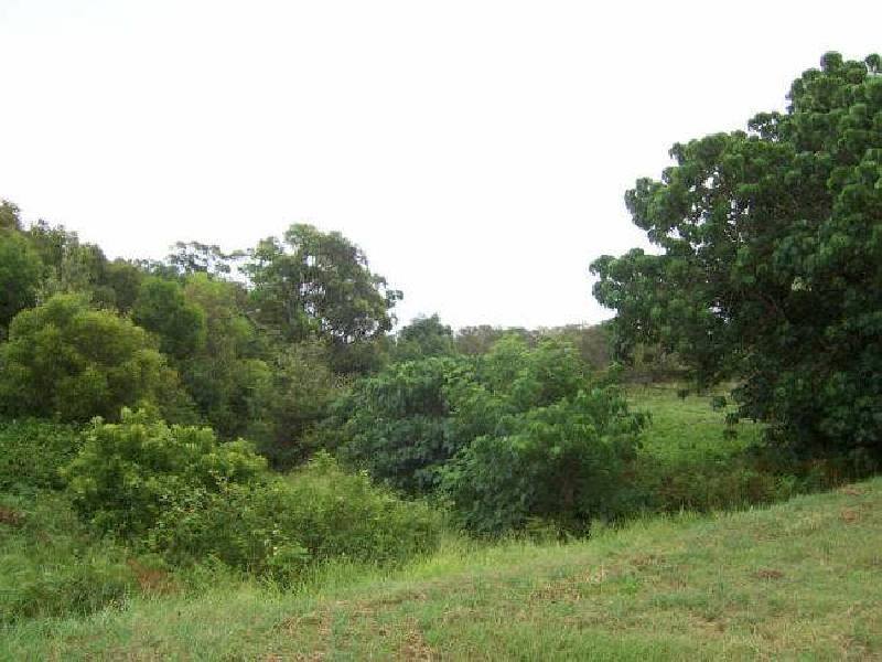 31 Lancewood Avenue, Peregian Beach QLD 4573