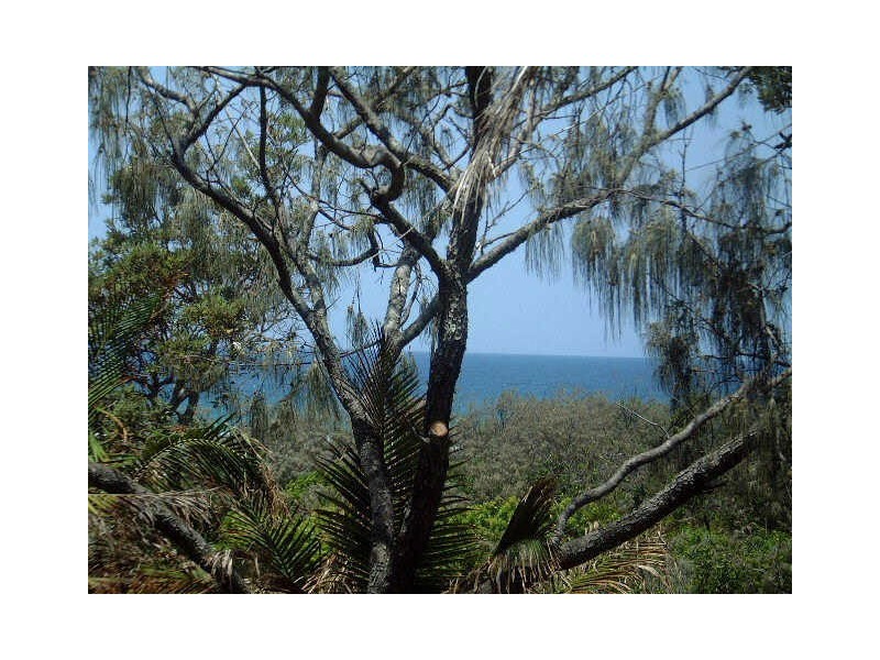 15/388 David Low Way, Peregian Beach QLD 4573