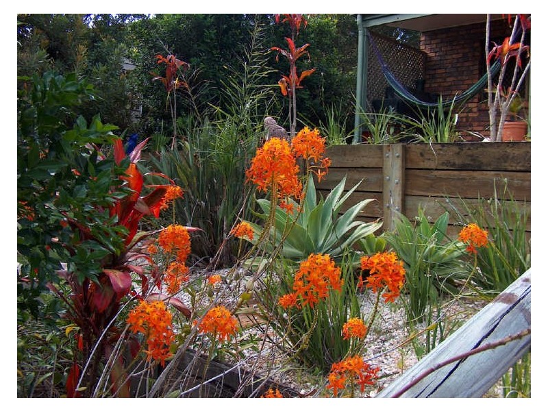 22 Woodland Drive, Peregian Beach QLD 4573