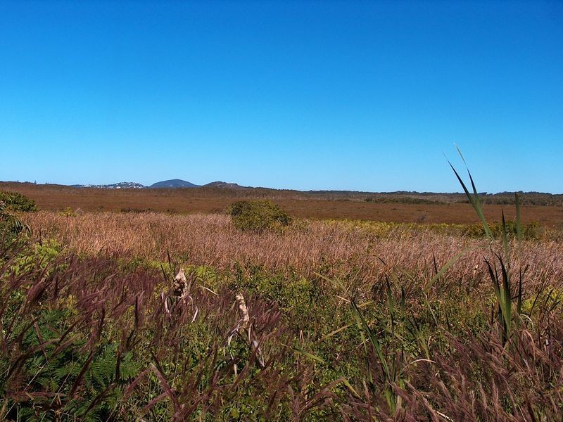 22 Woodland Drive, Peregian Beach QLD 4573