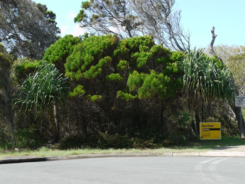 16 Royena Place, Marcus Beach QLD 4573