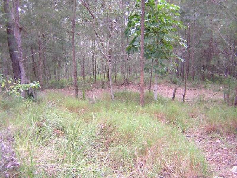 335 Pryors Road, Belli Park QLD 4562