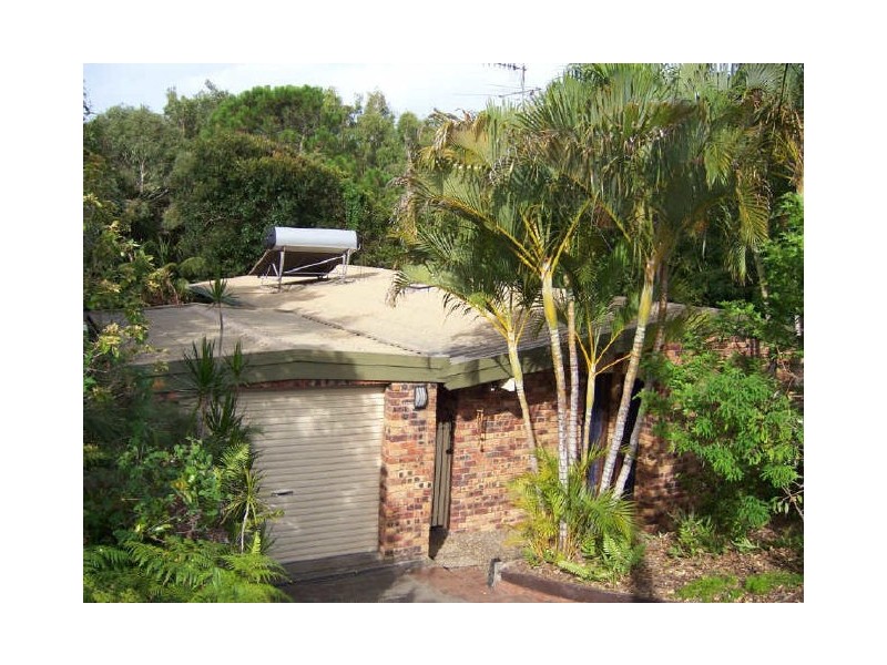 55 Spoonbill Street, Peregian Beach QLD 4573