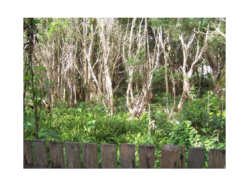 55 Spoonbill Street, Peregian Beach QLD 4573