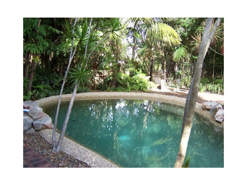 55 Spoonbill Street, Peregian Beach QLD 4573