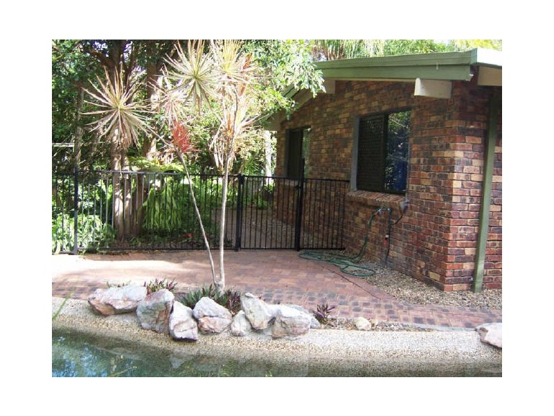 55 Spoonbill Street, Peregian Beach QLD 4573