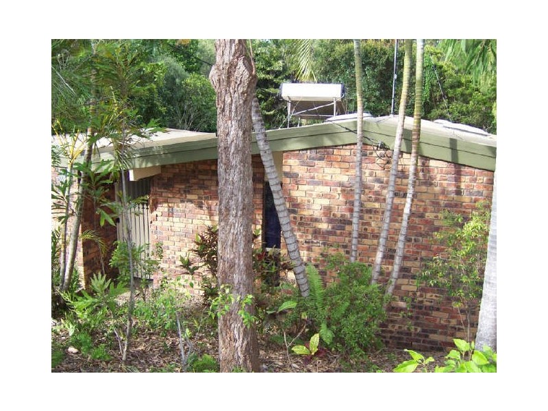 55 Spoonbill Street, Peregian Beach QLD 4573