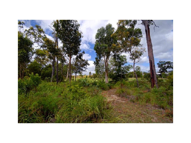 21 Lakeside Drive, Peregian Springs QLD 4573