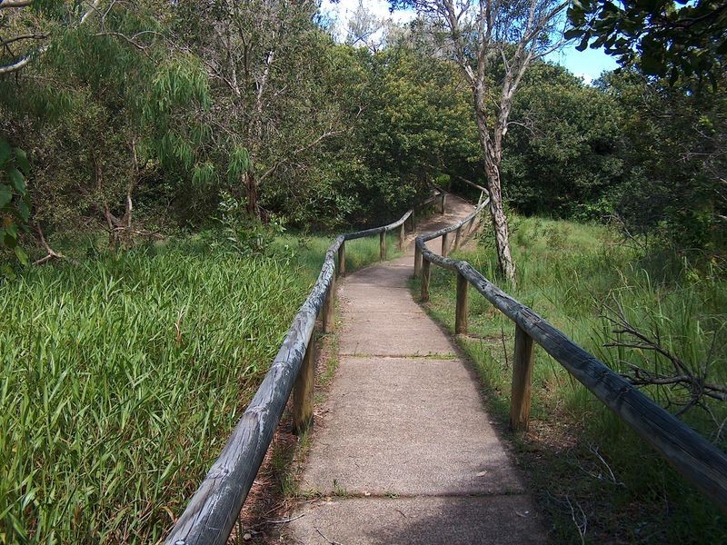 36 Kingfisher Drive, Peregian Beach QLD 4573